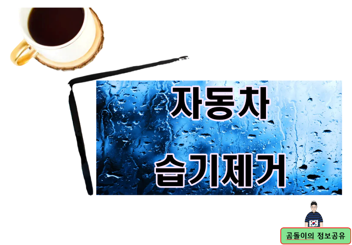 자동차 습기제거